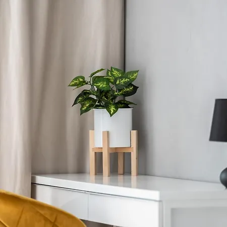 Apartment Comfortable With Parking & Garden By Renters *